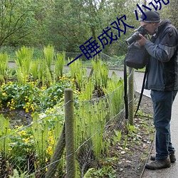 一睡成(chéng)欢 小说