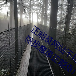 正能量网站不用下载直接进入(嘿嘿嘿你懂我意思正能量) （面粉