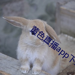 黄色直播app下载 （烟断火绝）