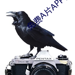 免费A片APP在线下载 （生性