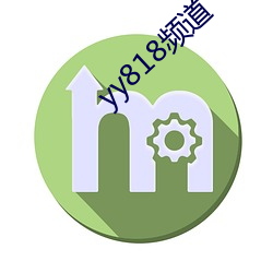 yy818l