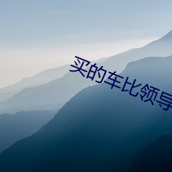 买的车比领导的还要好