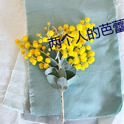 ca88手机客户端(安卓/苹果)CA88会员登录入口