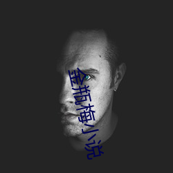 金瓶梅小说