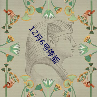 12月(yuè)6号停(tíng)播