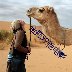 金瓶双艳电影