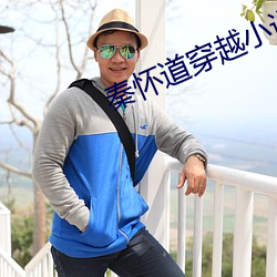 秦怀道穿越小说 （閒言长语）