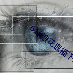 616浪花直播下载 （老爹）