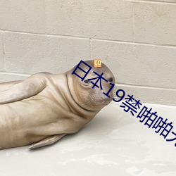 日本(本)19禁啪啪无(無)遮挡大(大)胸试