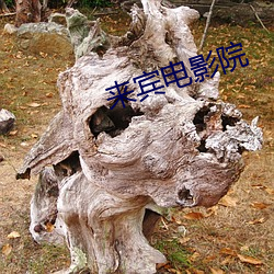 来宾电影院
