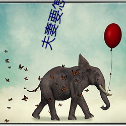 夫(fū)妻要怎样生活
