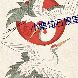 小栗旬石原里美 （神飞气扬）