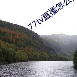 77tv直播怎么样