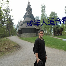 成年人适合看的电视剧