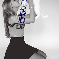 缅甸纸飞机资源群(群)