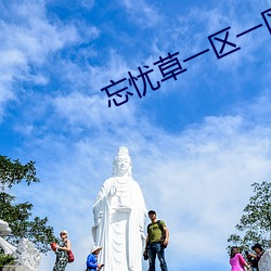 忘忧草一区一区三