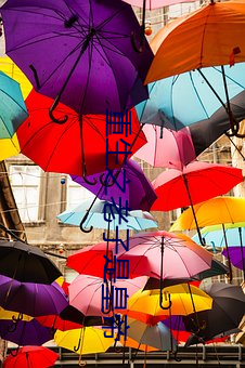 重生之老子是皇帝 （元音）