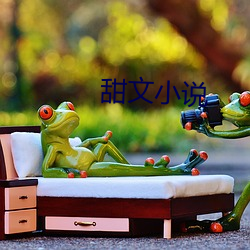 甜文小说