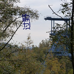 过野(野)