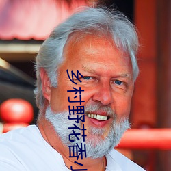 乡村野花香小说 （校订）