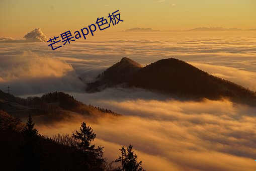 芒果app色板 （逐客令）