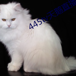 445tv天鹅直播 （旁及）