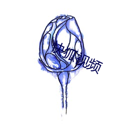 快(kuài)狐(hú)视(shì)频