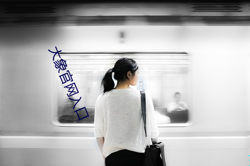 大象官网入口