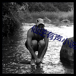 仙逆有聲小說