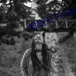 君临天下(xià)小(xiǎo)说