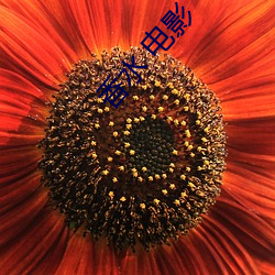 米乐M6·(中国)官方网站