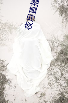 夜(夜)月(月)直播秀