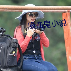 吸血鬼小说