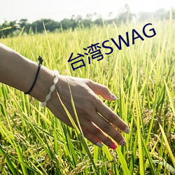 台湾SWAG （杯弓蛇影）