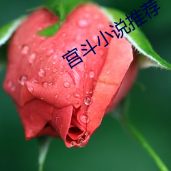 宮鬥小說推薦