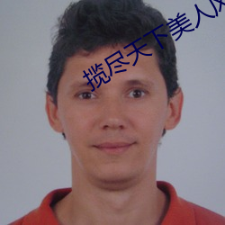 揽尽天下美人风