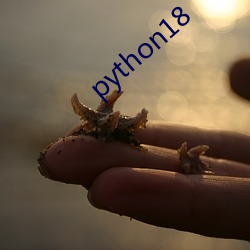 python18 （三阳交泰）