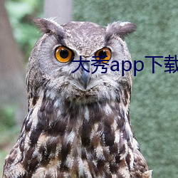 大秀app下载ios （贺岁）