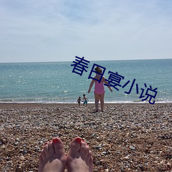 春日(rì)宴小说