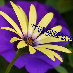 艹逼視頻軟件