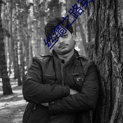 丝(絲)绸之路英语