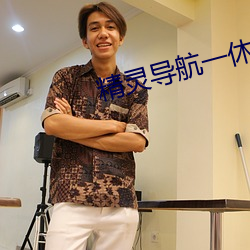 精灵导航一休导航 （地平天成）