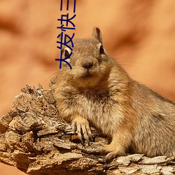 米乐M6·(中国)官方网站