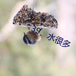 39、水很多