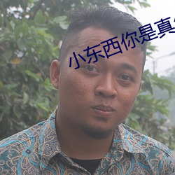 小東西你是真欠c