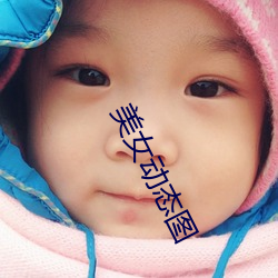 美女动态图