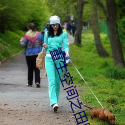 重生空間之田園歸處