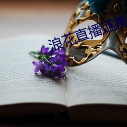 浪花直播(播)链接(接)