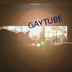 GAYTUBE （除旧布新）