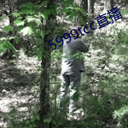 5999tcc直播